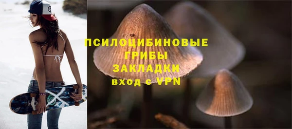 эйфоретик Заволжье