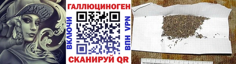 Купить закладки  Наволоки  Галлюциногенные грибы Magic Shrooms 